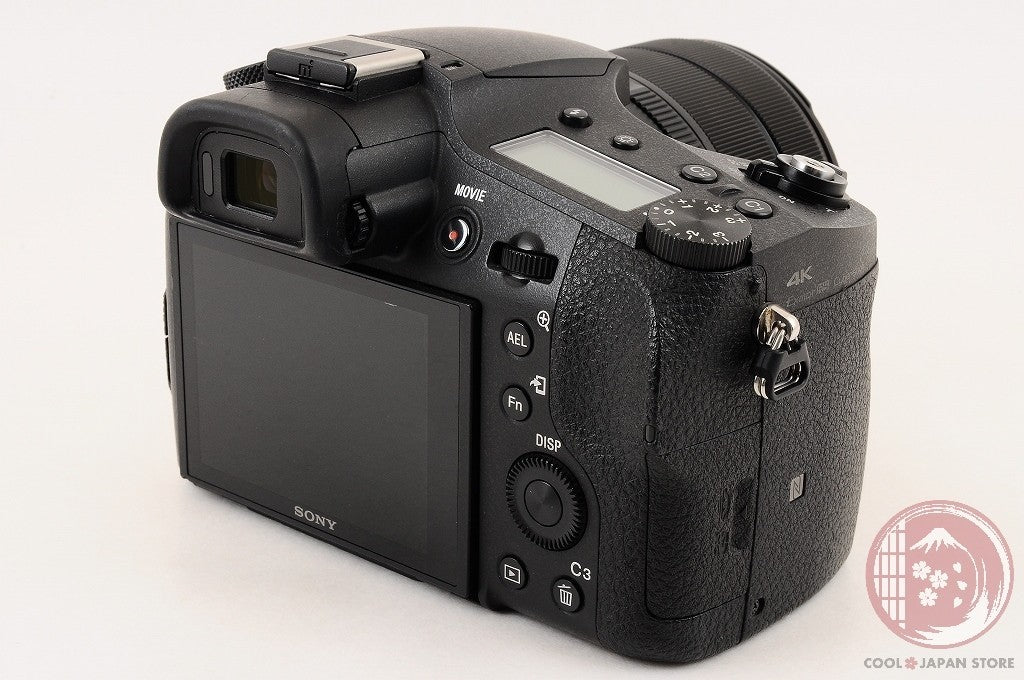 English OK [MINT in Box] Sony RX10 III DSC-RX10M3 from Japan Ck89