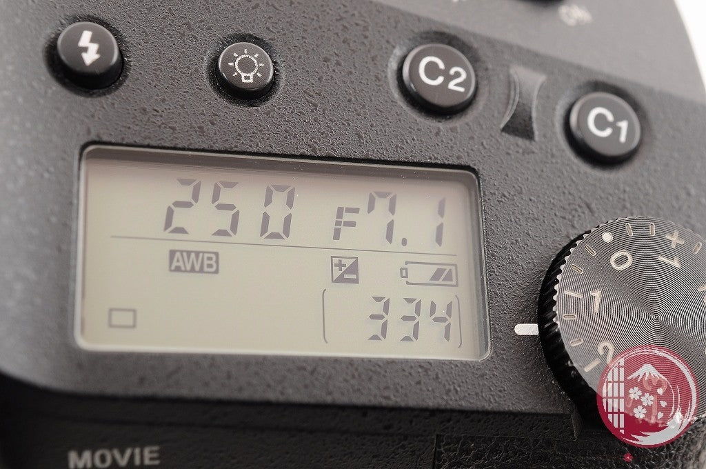 [EXC5 w/ Hood Strap] Sony RX10 III DSC-RX10M3 from Japan Ci08