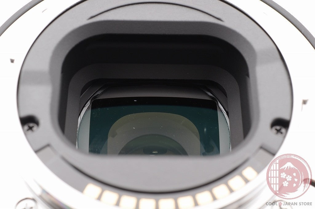 [TOP MINT w/Hood Caps] Sony E 70-350mm f/4.5-6.3 G OSS SEL70350G from Japan Lt31