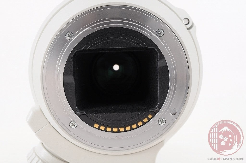 DDU [TOP MINT in Box] Sony FE 70-200mm f/4 OSS G SEL70200G Japan Lt62