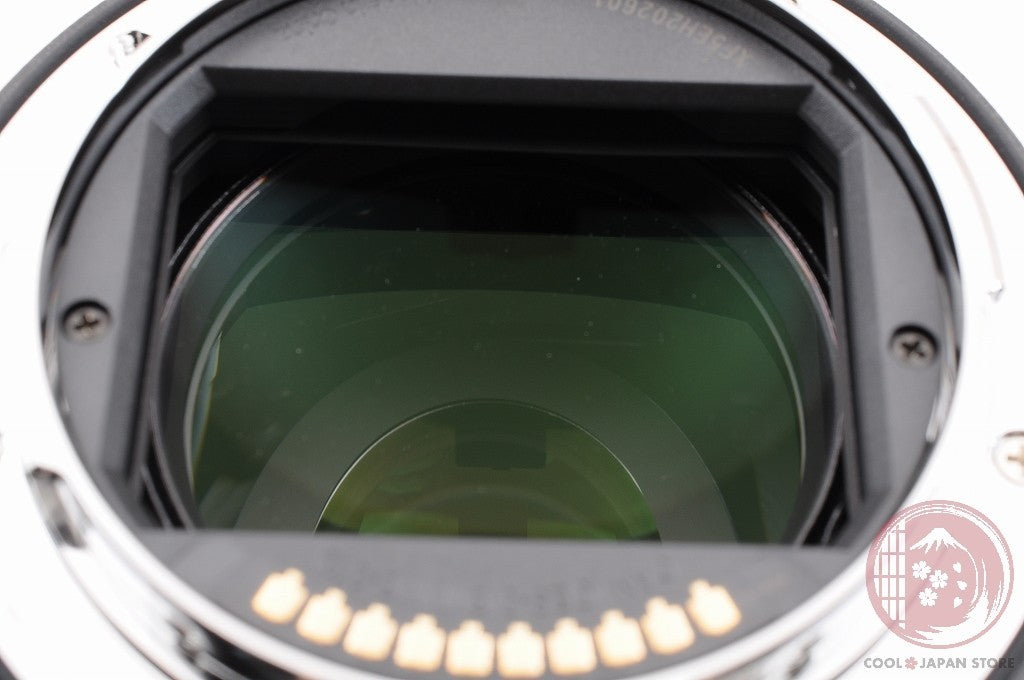 [MINT+ in Box] Panasonic LUMIX 24-105mm f/4 Macro O.I.S. from Japan Lw64