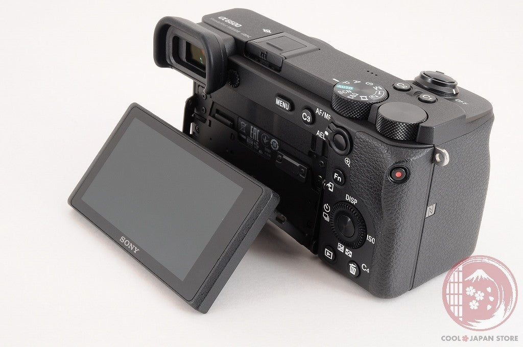 DDU Unlock Languages [ 10308 shots MINT+ in Box ] Sony A6600 ilce-6600 Cj02