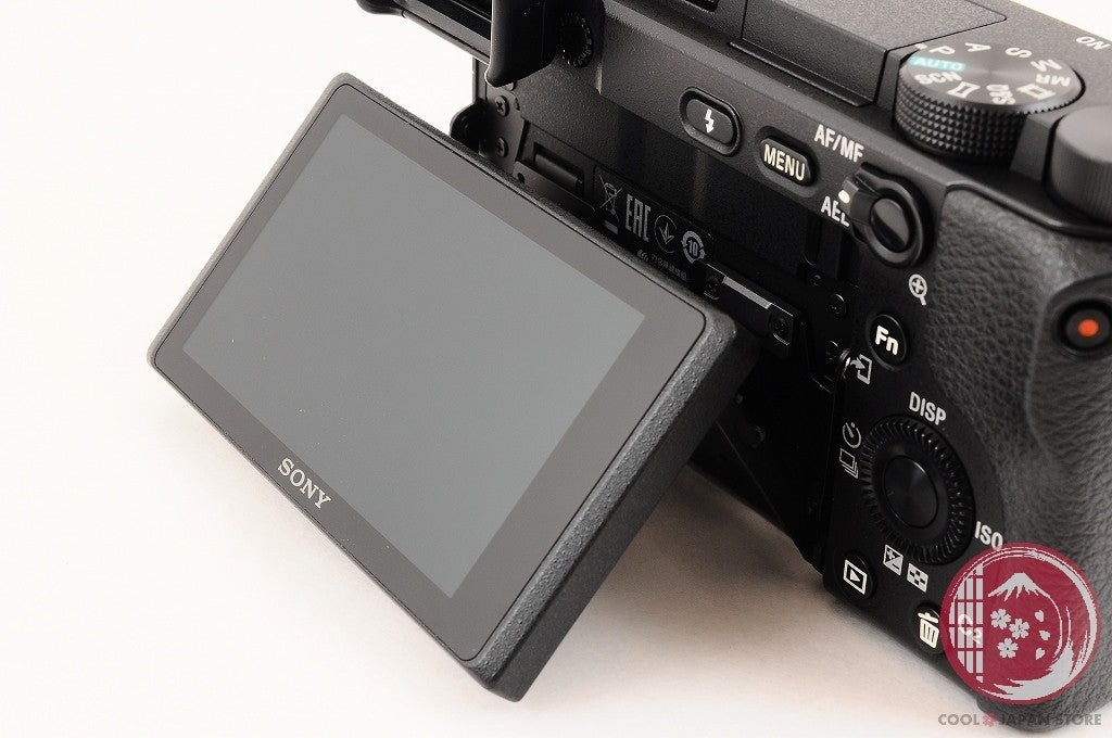 English OK [ 3666 shots MINT+ in Box ] Sony A6400 from Japan Ck50