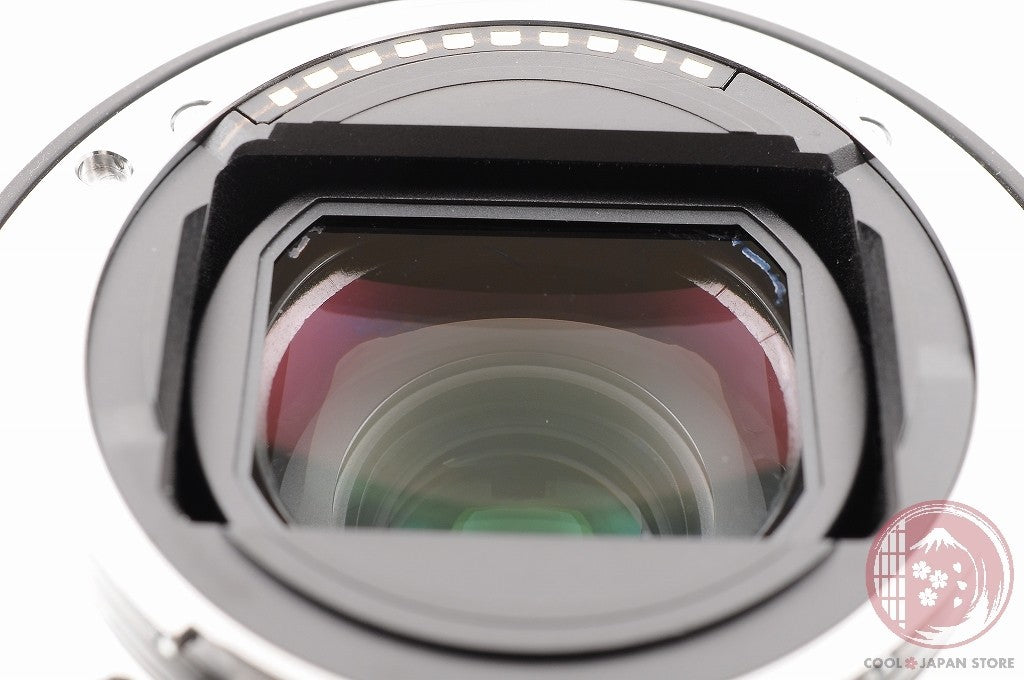 [MINT w/ Hood Case] Sony FE 24-105mm f/4 G OSS SEL24105G from Japan Ly83