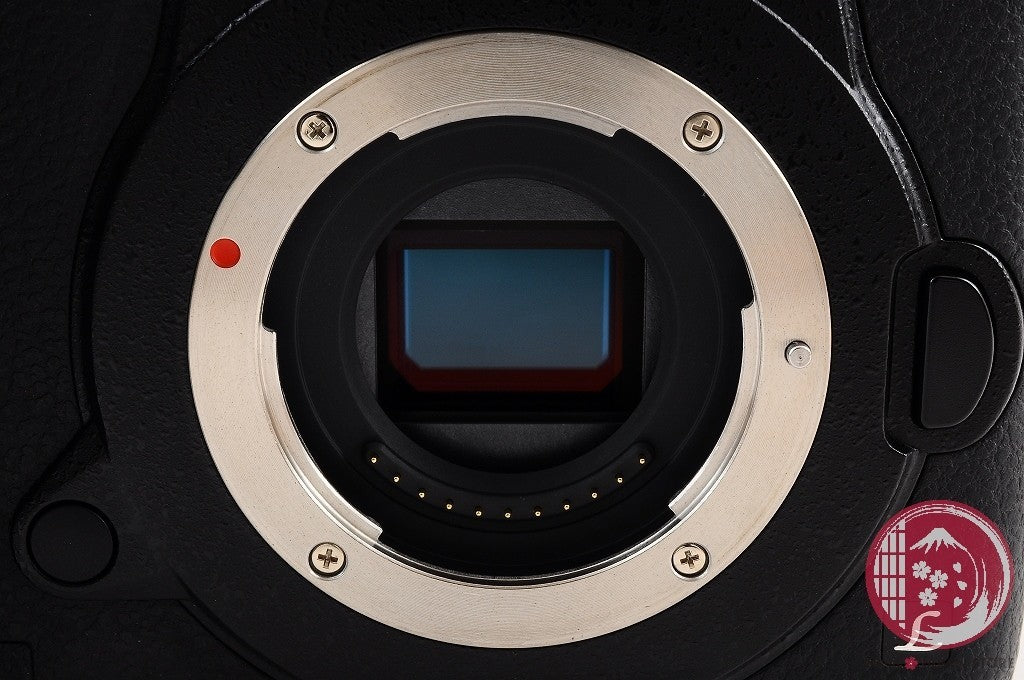 DDU [ 7280 shots TOP MINT in Box ] Panasonic LUMIX DC-GH5 DC GH5 20.3 MP Cj46