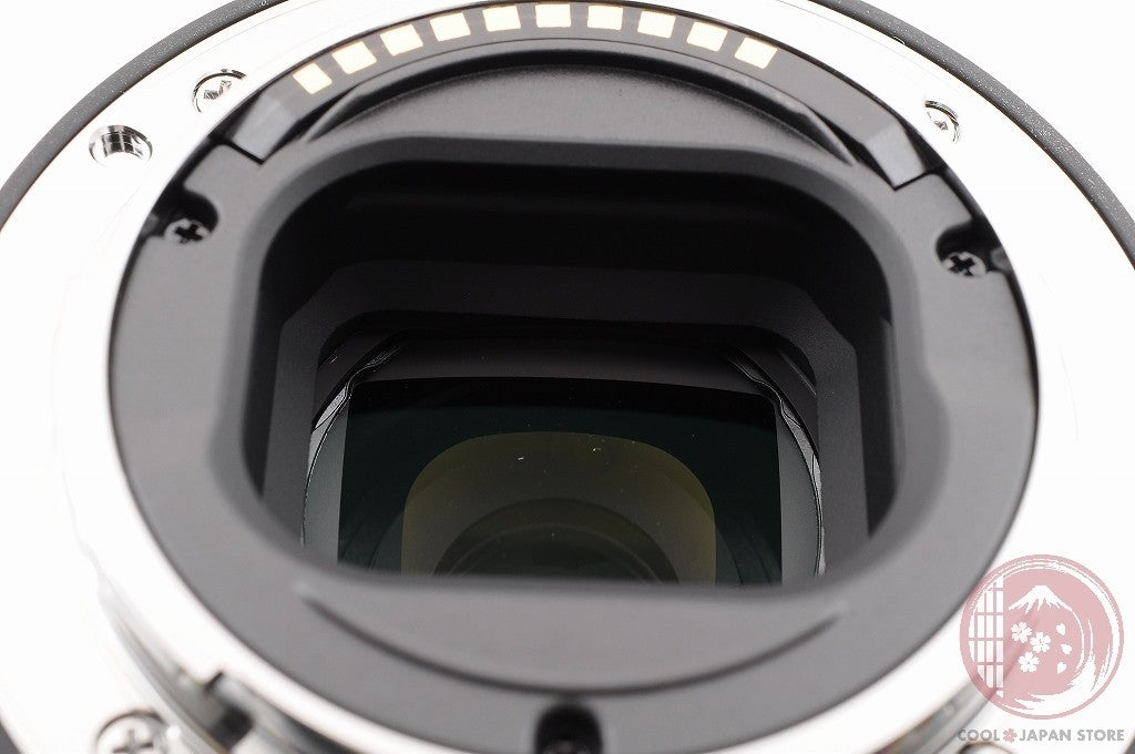 [TOP MINT in Box] Sony E 70-350mm f/4.5-6.3 G OSS SEL70350G from Japan Ly70