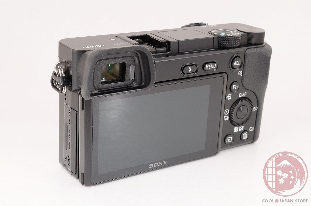 [ 3938 shots TOP MINT in Box ] Sony Alpha a6100 Mirrorless Digital Camera Ci94