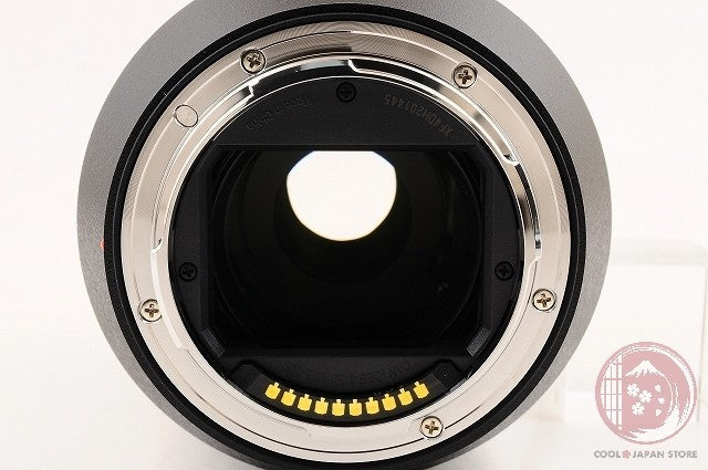 [TOP MINT in Box] Panasonic LUMIX S 24-105mm f/4 Macro O.I.S. from Japan Lv65
