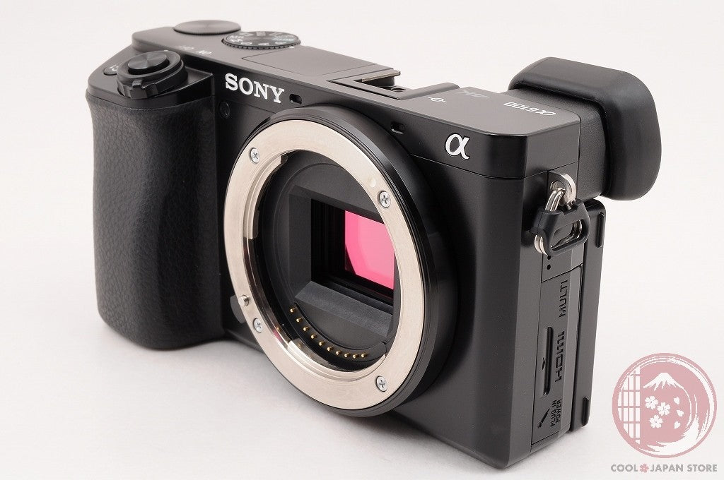 [ 437 shots TOP MINT in Box ] Sony Alpha a6100 Mirrorless Digital Camera Cl46