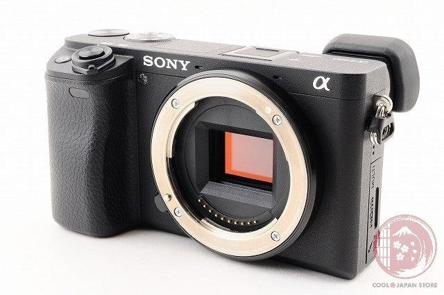 35 lang OK[ 2462 shots MINT+ w/ Strap Cable ] Sony Alpha a6300