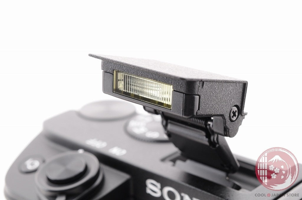 DDU English OK [ 2200 shots TOP MINT in Box ] Sony A6400 Japan