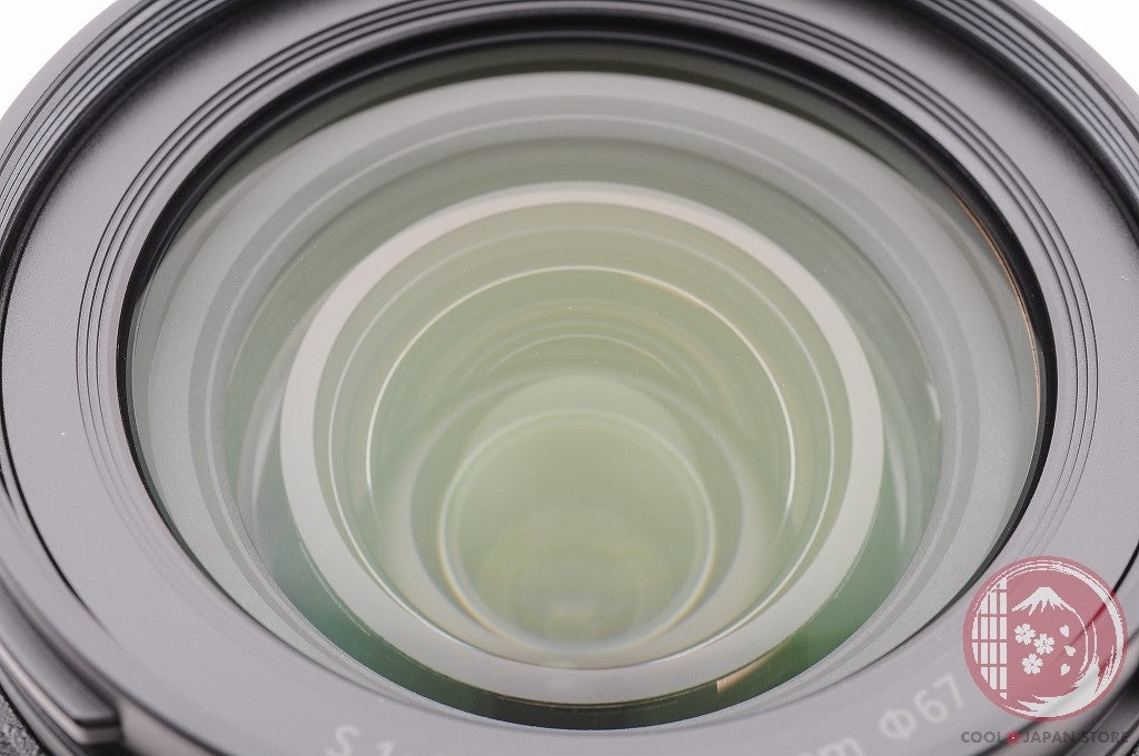 DDU [MINT+ w/ Hood Caps] Panasonic LUMIX S 28-200mm f/4-7.1 Macro Japan Lt66