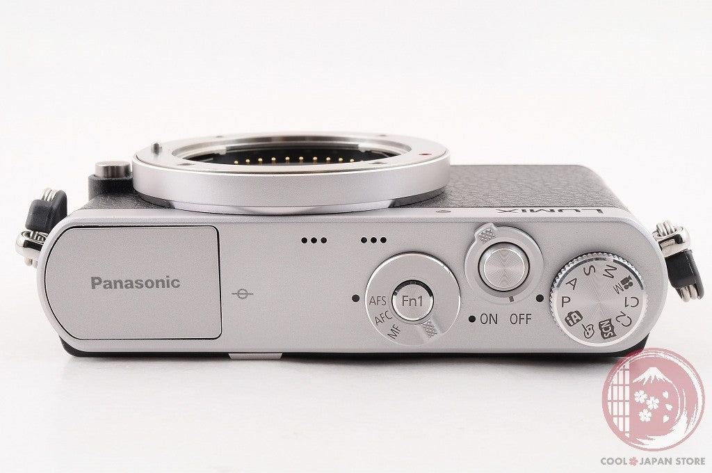 [TOP MINT w/Strap Charger] Panasonic DMC GM1 Silver from Japan Cl76