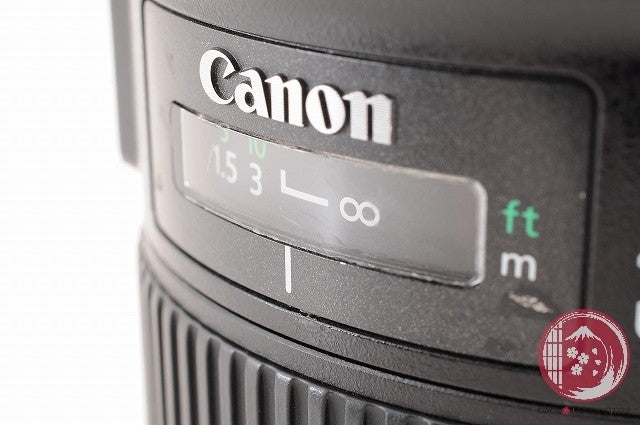 [ EXC5 w/ Caps ] Canon EF 24-70mm f/2.8 II L USM from Japan Lv13