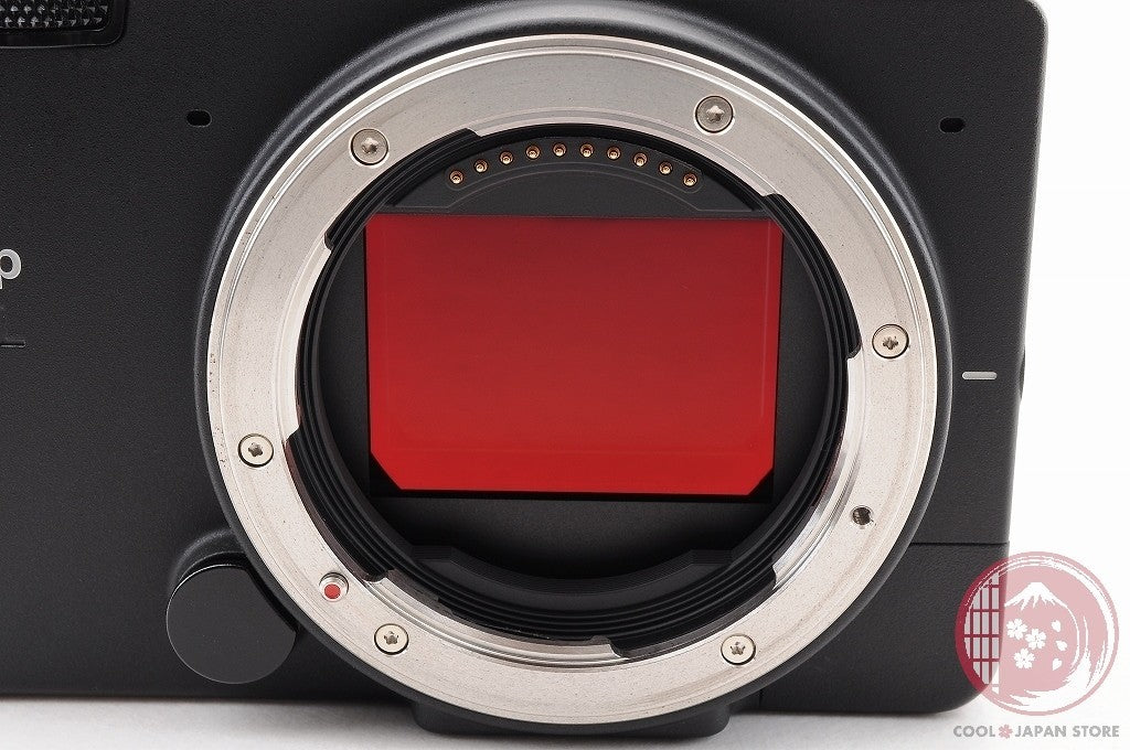 DDU[MINT+ in Box]SIGMA fp L 61MP Full Frame Mirrorless Digital Camera Japan Ci77