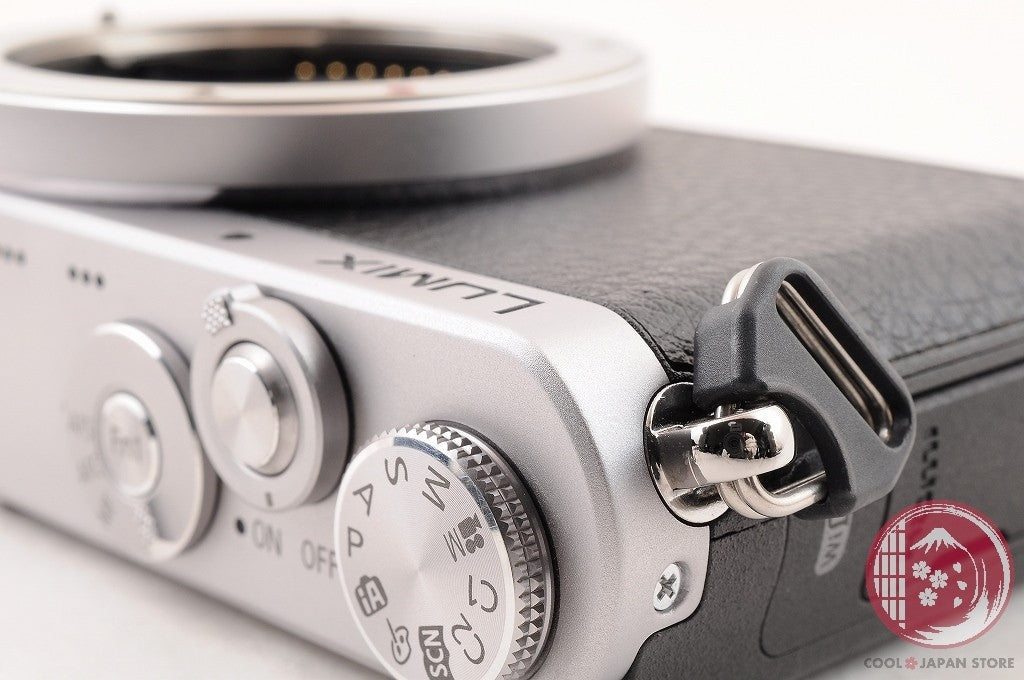 [TOP MINT w/Strap Charger] Panasonic DMC GM1 Silver from Japan Cl76