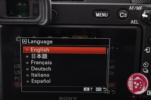 Unlock Languages [ 18954 shots TOP MINT in Box ] Sony A6600 ilce-6600 Japan Ck24