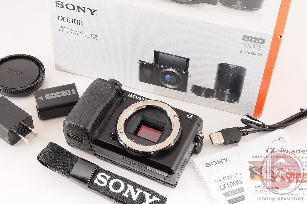[ 3938 shots TOP MINT in Box ] Sony Alpha a6100 Mirrorless Digital Camera Ci94