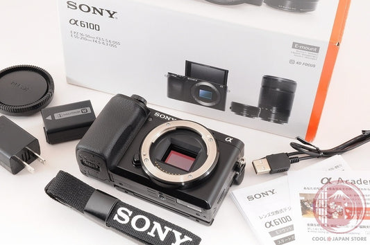 [ 3938 shots TOP MINT in Box ] Sony Alpha a6100 Mirrorless Digital Camera Ci94