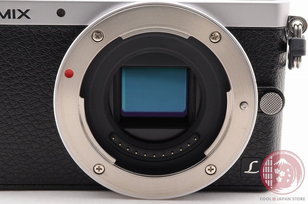 [TOP MINT w/Strap Charger] Panasonic DMC GM1 Silver from Japan Cl76