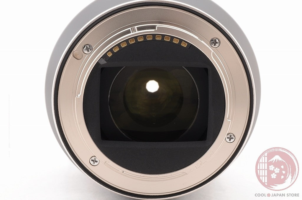 DDU [TOP MINT w/Caps] Tamron 17-70mm f/2.8 Di iii-A VC RXD SONY from Japan Lu13