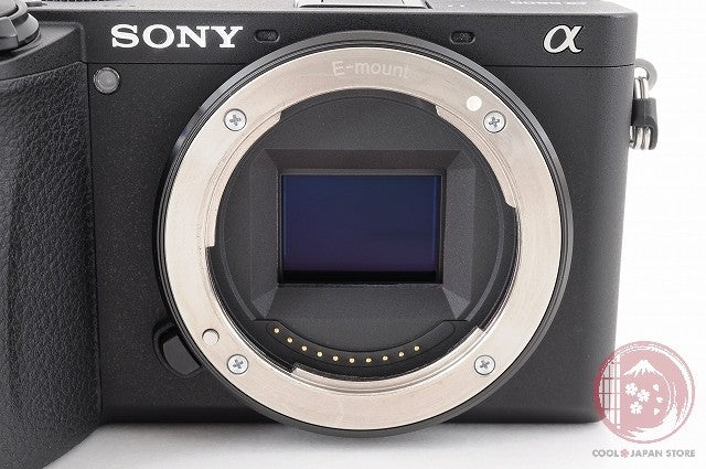 Unlock Languages [ 18954 shots TOP MINT in Box ] Sony A6600 ilce-6600 Japan Ck24