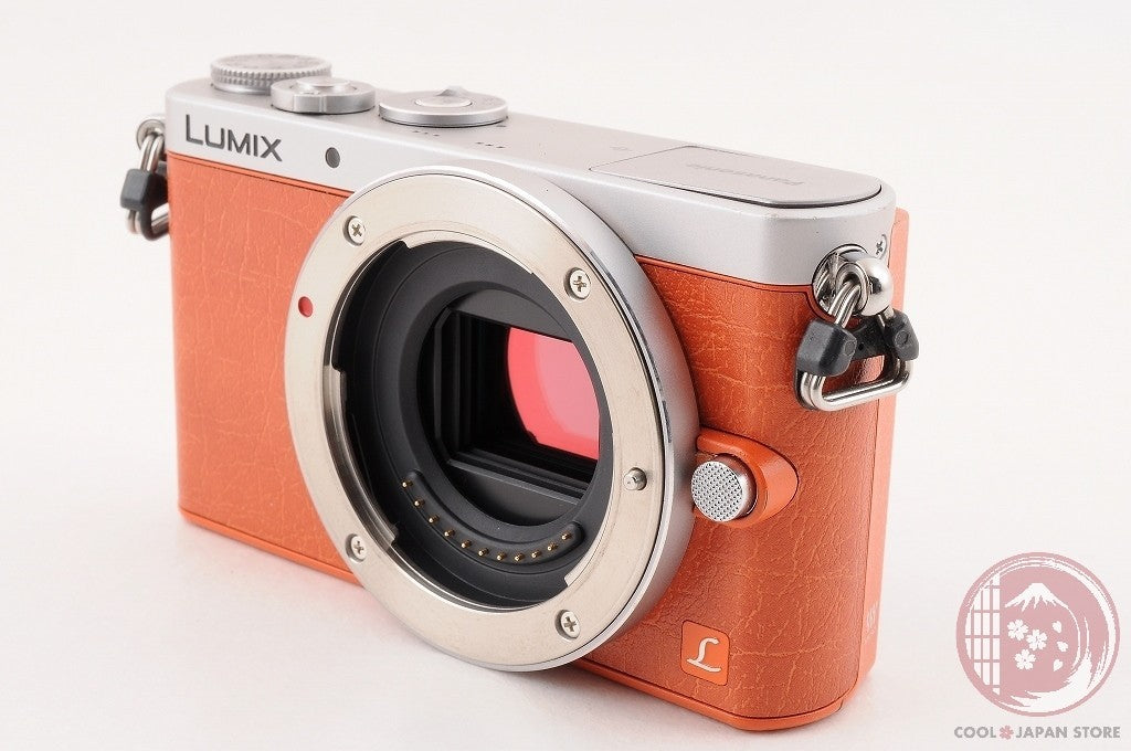 English OK [ 12923 shots MINT+ w/ 12-32mm in Box ] Panasonic DMC GM1 Japan Cm35