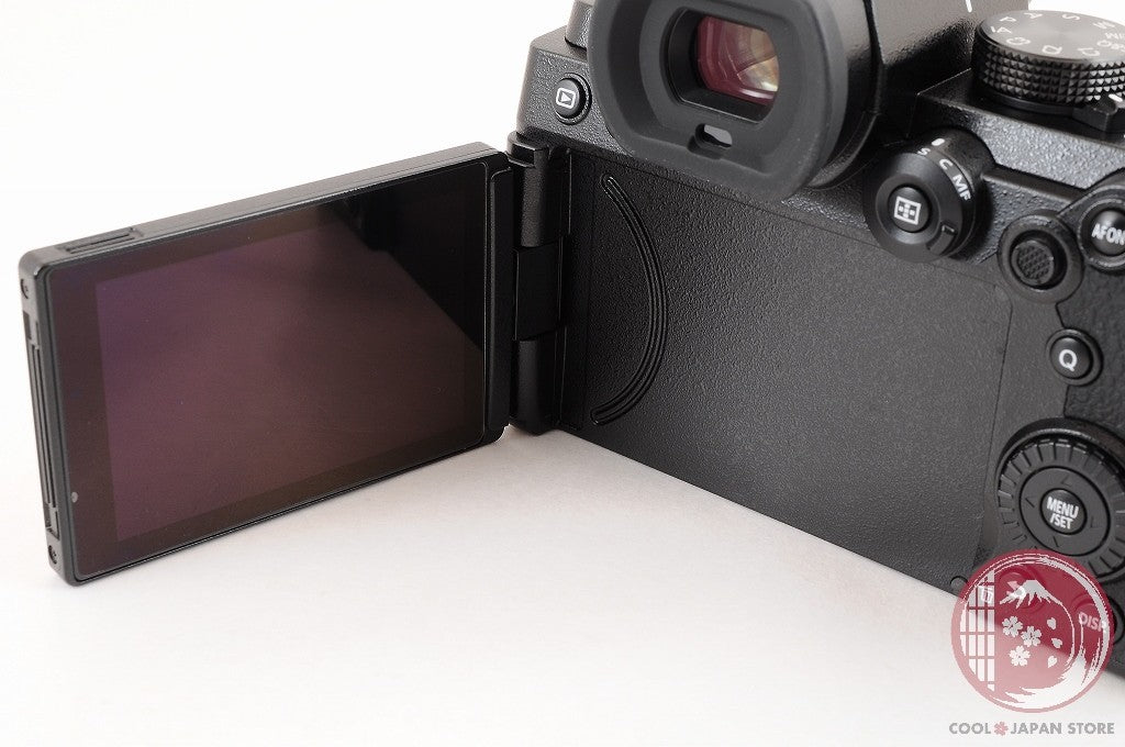 [ 9706 shots MINT+ in Box ] Panasonic DC S5 Mirrorless Digital Camera Cl71