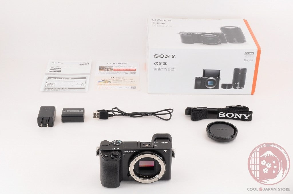 [ 3938 shots TOP MINT in Box ] Sony Alpha a6100 Mirrorless Digital Camera Ci94