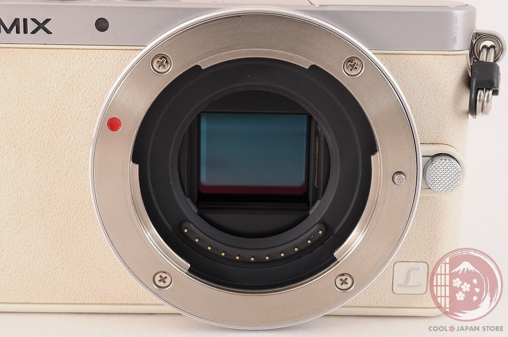 English OK[ 2802 shots MINT+ w/ 12-32mm in Box ] Panasonic DMC GM1 Japan Ci18