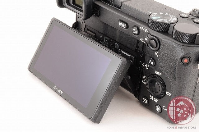 Unlock Languages [ 18954 shots TOP MINT in Box ] Sony A6600 ilce-6600 Japan Ck24