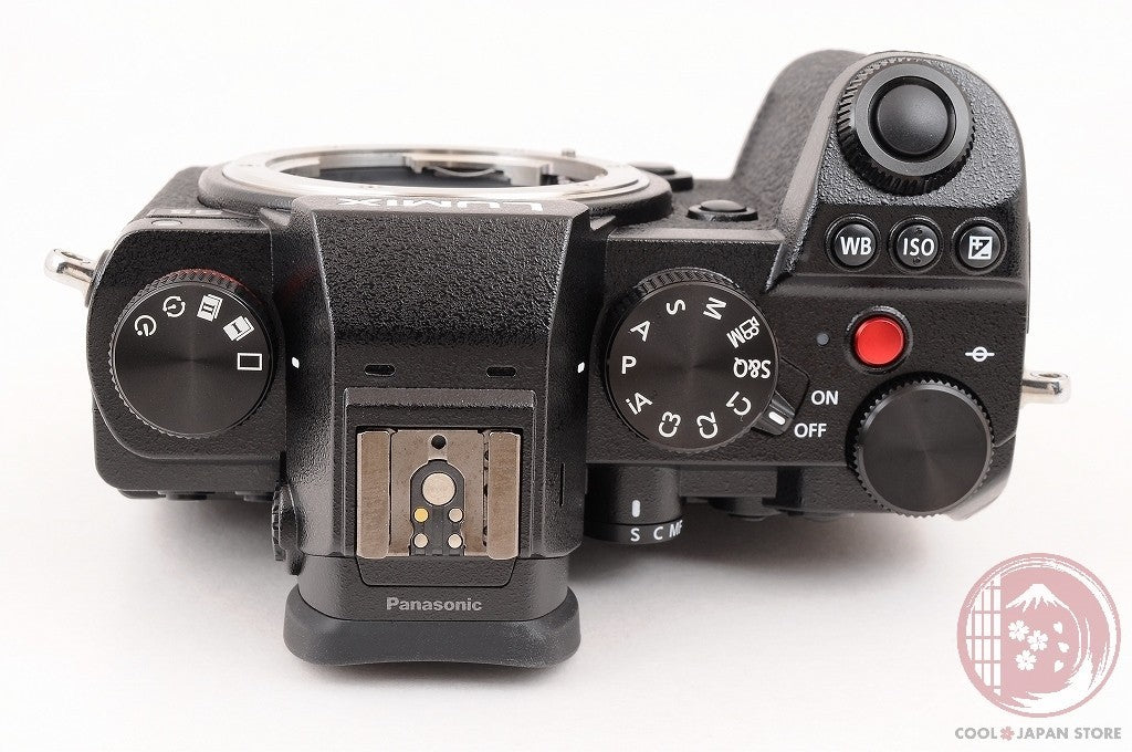 [ 9706 shots MINT+ in Box ] Panasonic DC S5 Mirrorless Digital Camera Cl71