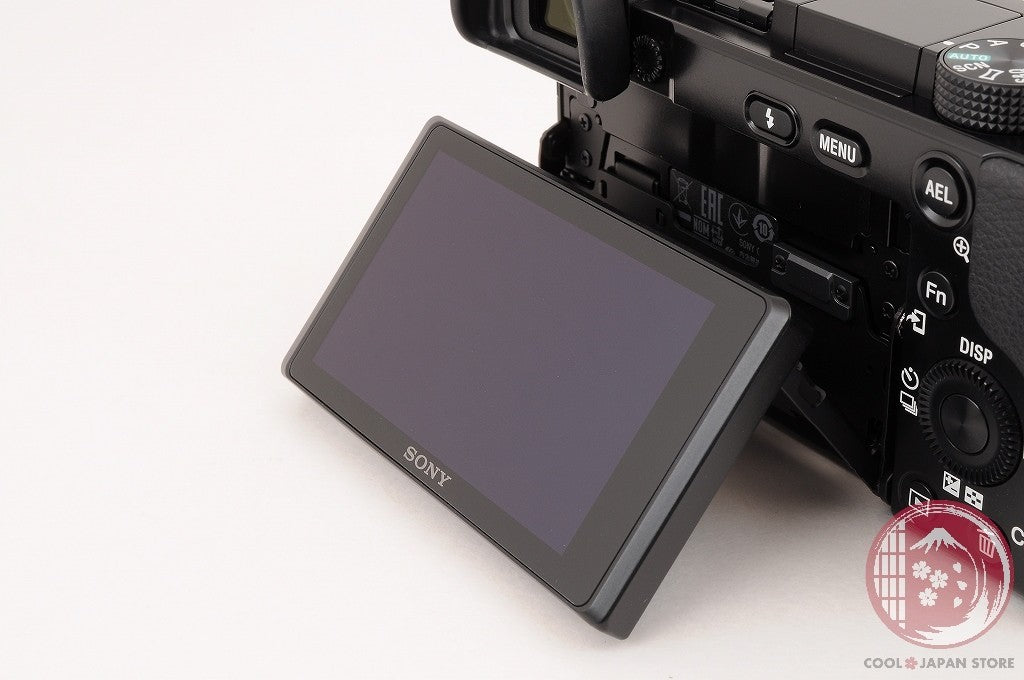 [ 2265 shots TOP MINT in Box ] Sony Alpha a6100 Mirrorless Digital Camera Cm23
