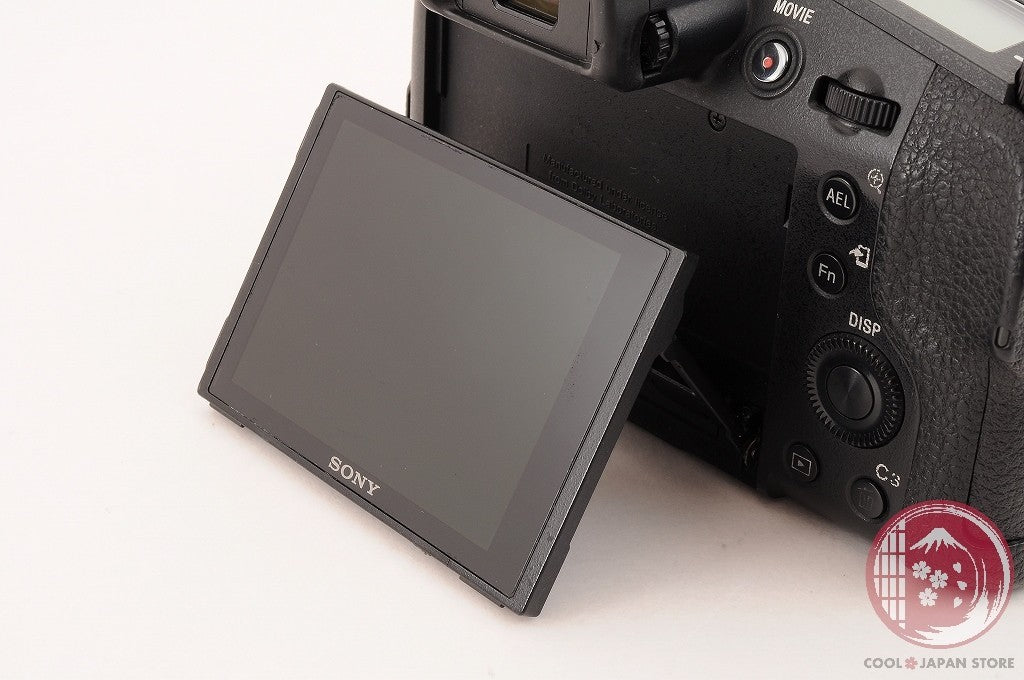 [EXC5 w/ Hood Strap] Sony RX10 III DSC-RX10M3 from Japan Ci08