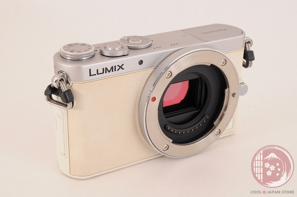 English OK[ 2802 shots MINT+ w/ 12-32mm in Box ] Panasonic DMC GM1 Japan Ci18