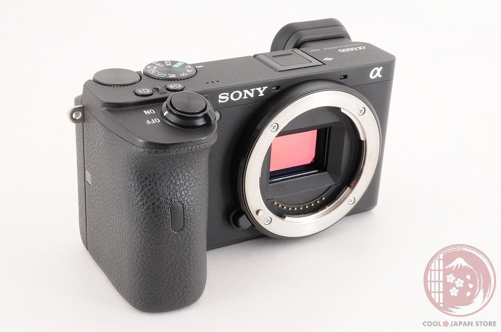 DDU Unlock Languages [ 10308 shots MINT+ in Box ] Sony A6600 ilce-6600 Cj02