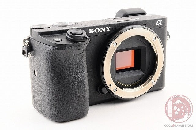 35 lang OK[ 2462 shots MINT+ w/ Strap Cable ] Sony Alpha a6300 ILCE- 6300 Ck56