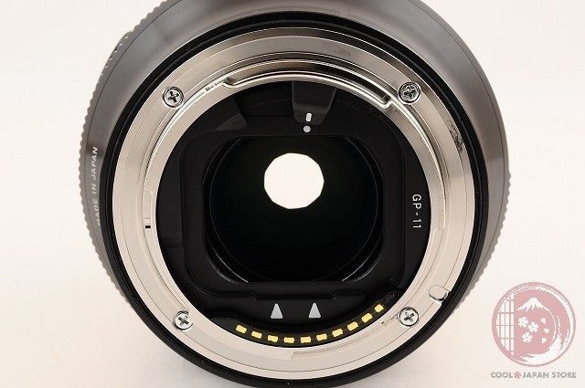 [TOP MINT in Box] Sigma 24mm f/1.4 DG DN Art SONY from Japan Lv19