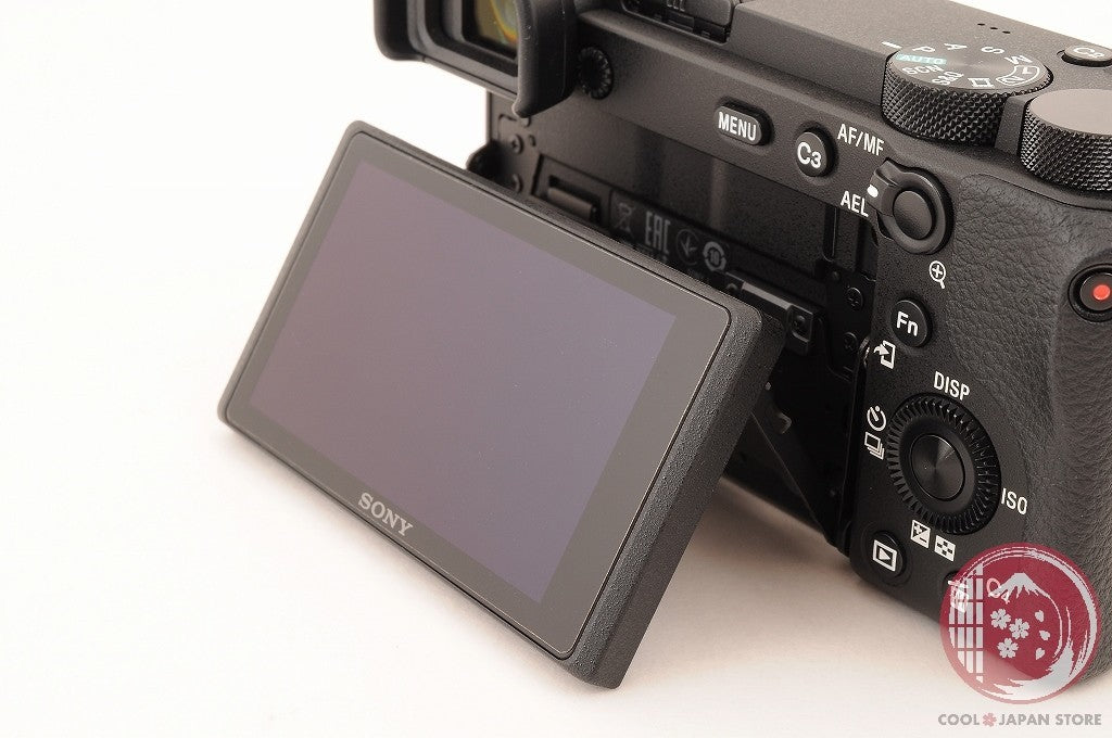 Unlock Languages [ 1227 shots MINT+ in Box ] Sony A6600 ilce-6600 Japan Ci55