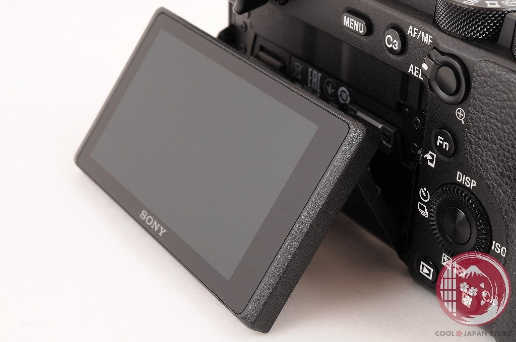 Unlock Languages [ 5988 shots TOP MINT in Box ] Sony A6600 ilce-6600 Japan Cl66