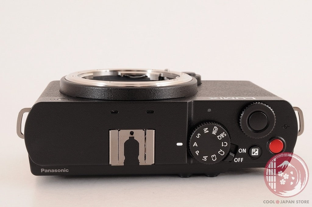 [TOP MINT in Box] Panasonic DC S9 Black from Japan Cg84
