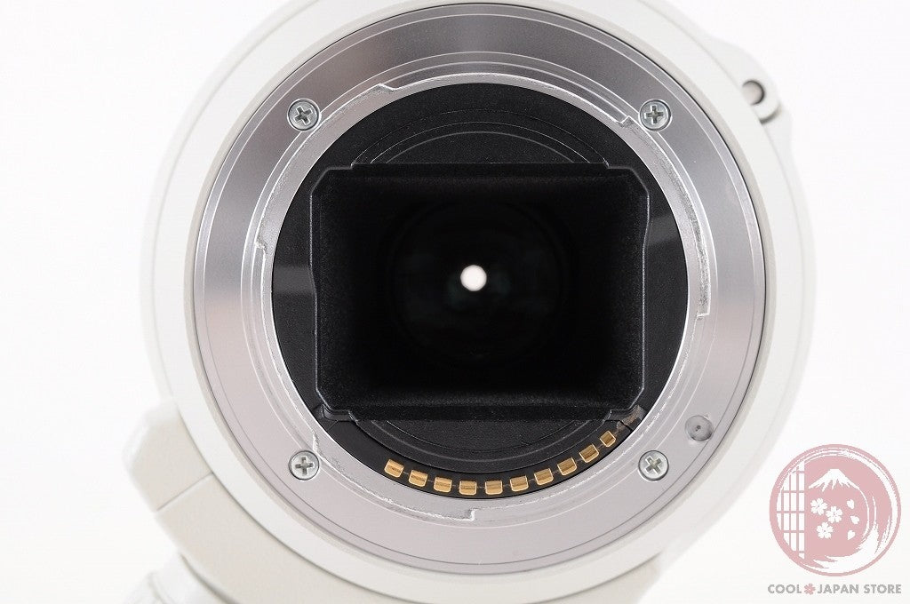 [MINT+ w/Filter in Box] Sony FE 70-200mm f/4 OSS G SEL70200G from Japan Lt35