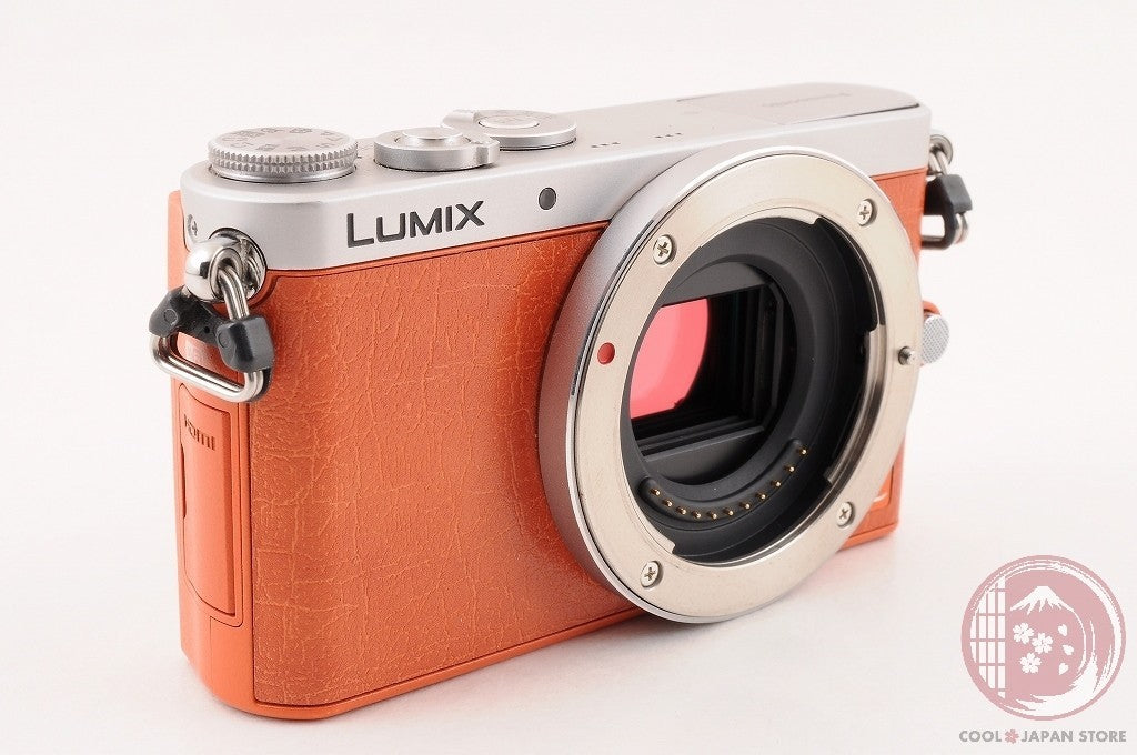 English OK [ 12923 shots MINT+ w/ 12-32mm in Box ] Panasonic DMC GM1 Japan Cm35