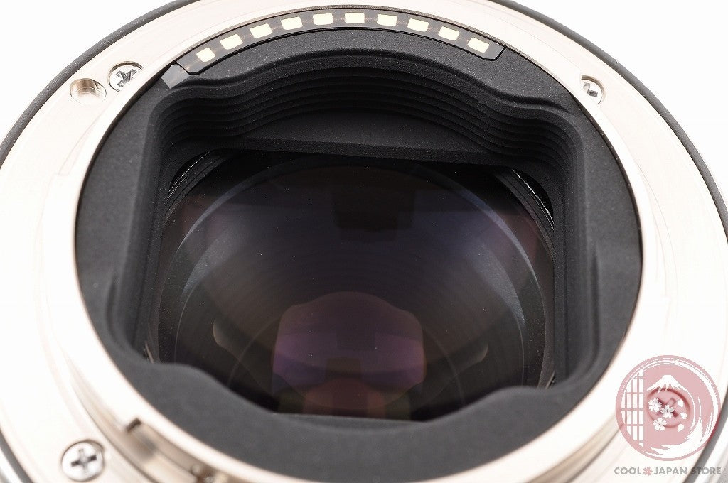 [TOP MINT w/Hood Caps] Tamron 90mm f/2.8 Di iii VXD MACRO Sony from Japan Lw71