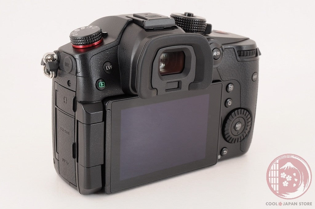 [ 2142 shots TOP MINT in Box ] Panasonic LUMIX DC GH5 II DC-GH5 from Japan Cj01
