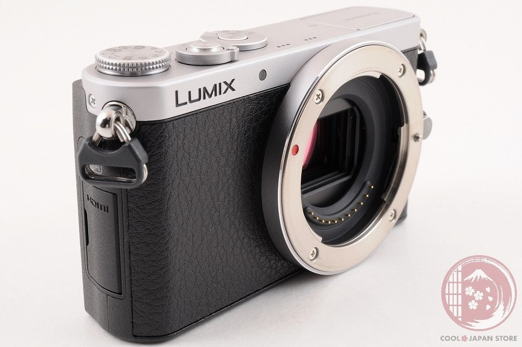 [TOP MINT w/Strap Charger] Panasonic DMC GM1 Silver from Japan Cl76