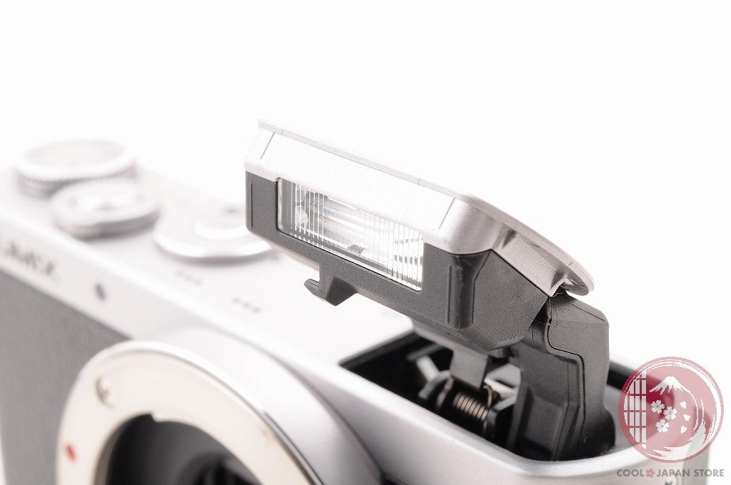 [TOP MINT w/Strap Charger] Panasonic DMC GM1 Silver from Japan Cl76