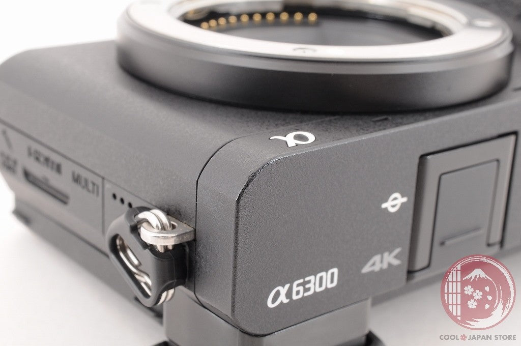 35 lang OK [ 8178 shots MINT+ in Box] Sony Alpha a6300 ILCE- 6300 Japan Cj00