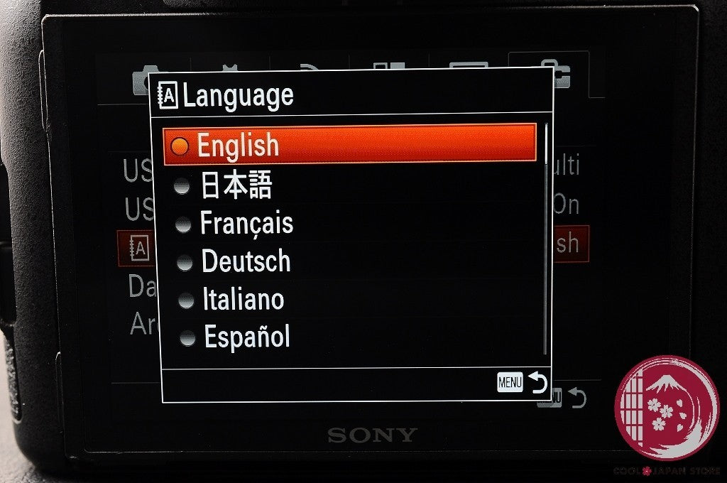 English OK [MINT in Box] Sony RX10 III DSC-RX10M3 from Japan Ck89