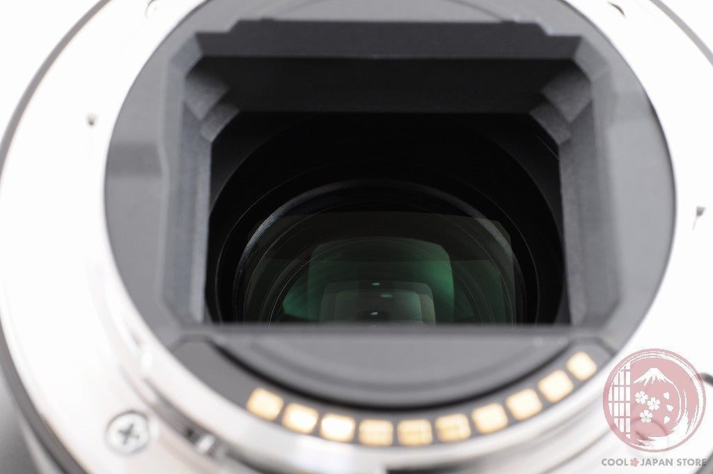 [TOP MINT in Box] Sony FE 90mm f/2.8 OSS Macro G SEL90M28G from Japan Lv24